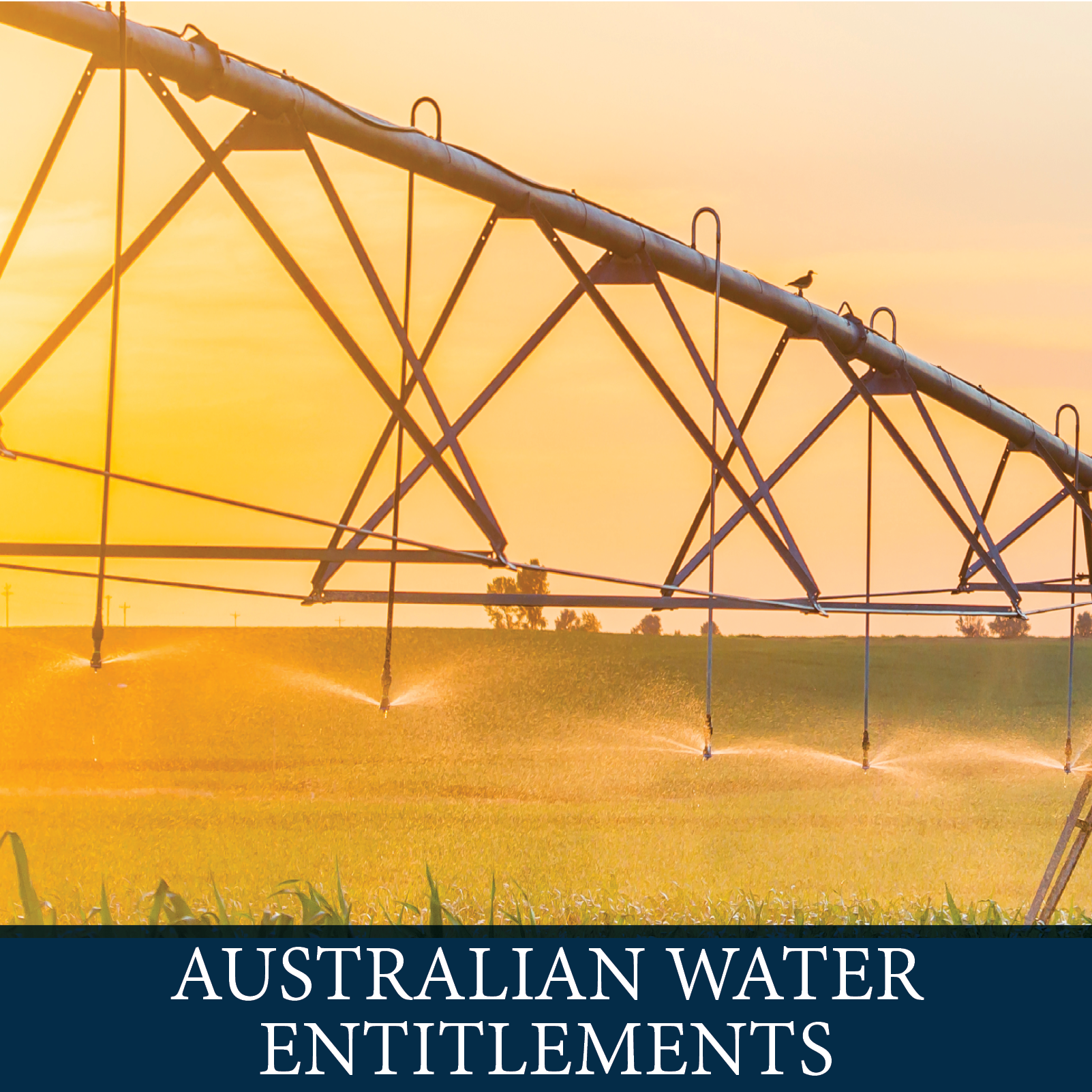 Australian Water Entitlements